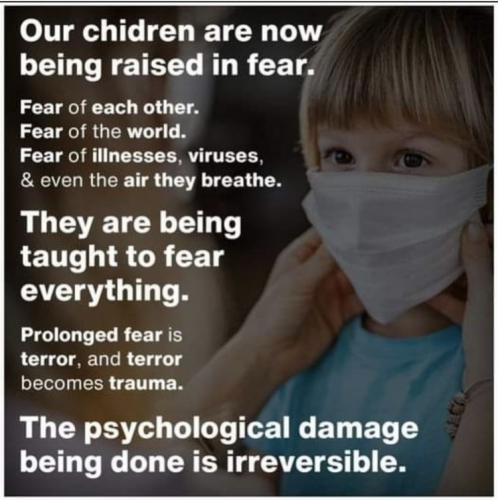 Our Children Are Being Raised In Fear - meme