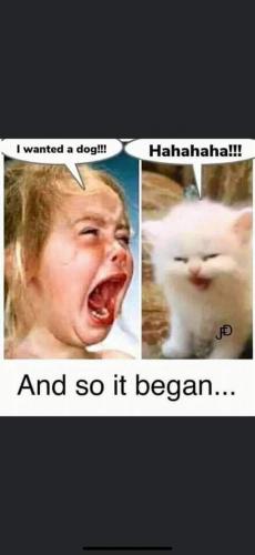 19:43:06 GMT-0700 (PDT)