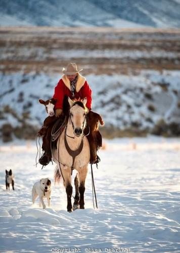 d429a329b1b1f15f1772ff80c0c88d7a