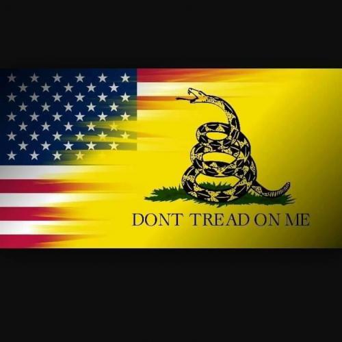 13932955_1276937972319201_8423996475731513736_n