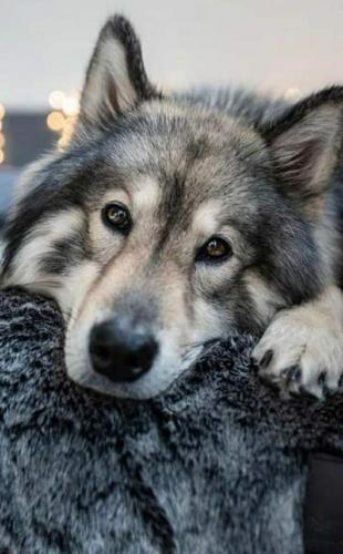 15:09:45 GMT-0500 (CDT)