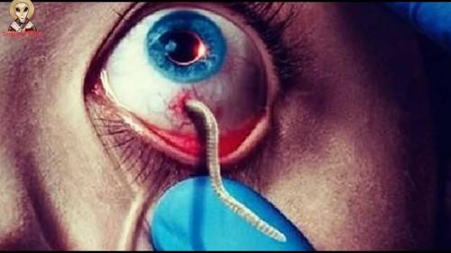 18D29C2D-83A3-45F7-88B3-9D134F91F28A