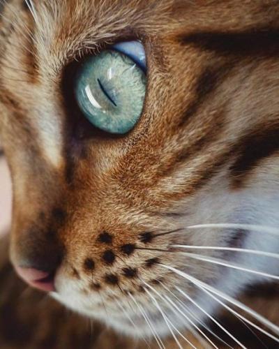 20:51:01 GMT-0500 (CDT)