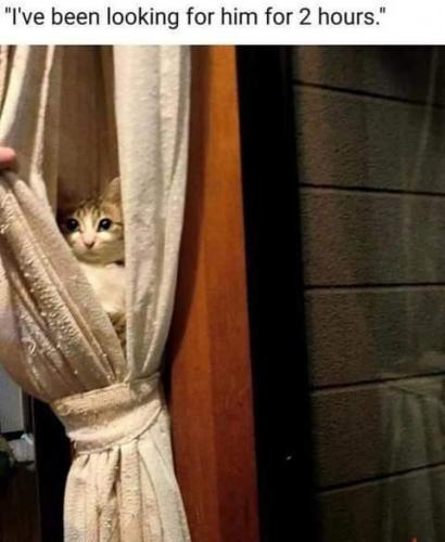 12:08:00 GMT-0700 (PDT)