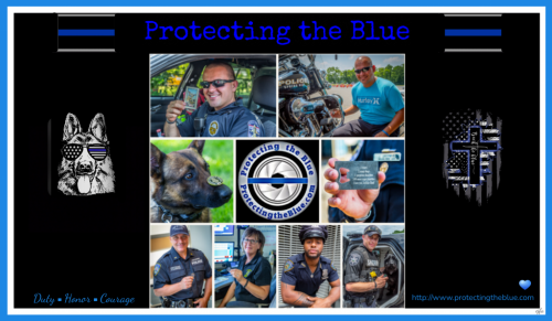 ProtectingTheBlueFinal