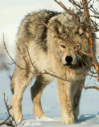 4d175a4f404563bef5e7dcb2b0ec020d