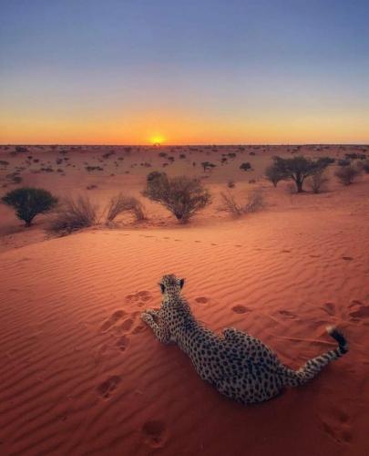 19:44:51 GMT-0500 (CDT)