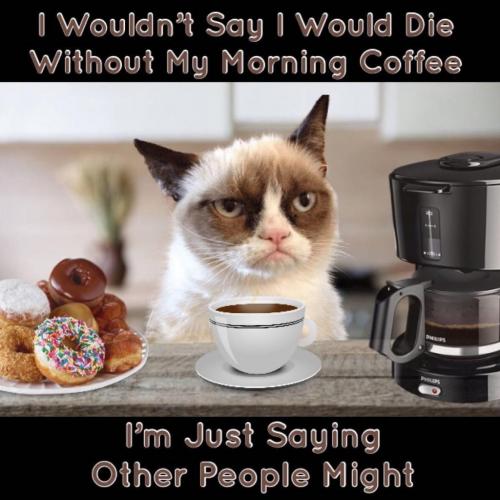 61772678_2420650124843395_6966710762572087296_o