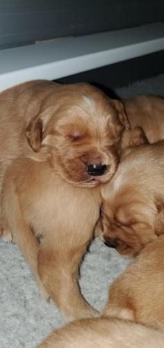 12:33:14 GMT-0400 (EDT)