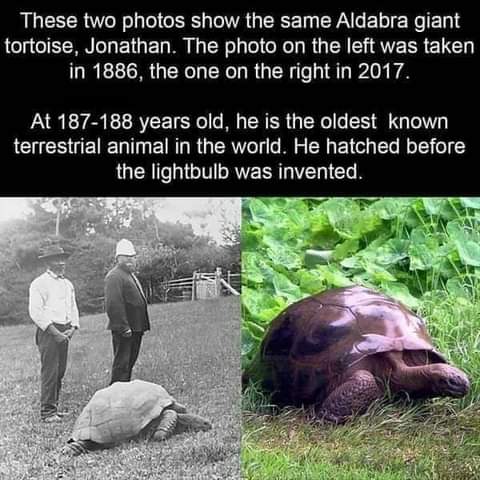 12:11:44 GMT-0700 (PDT)