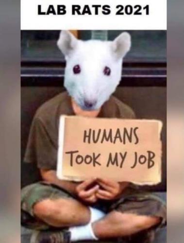 13:19:40 GMT-0500 (CDT)