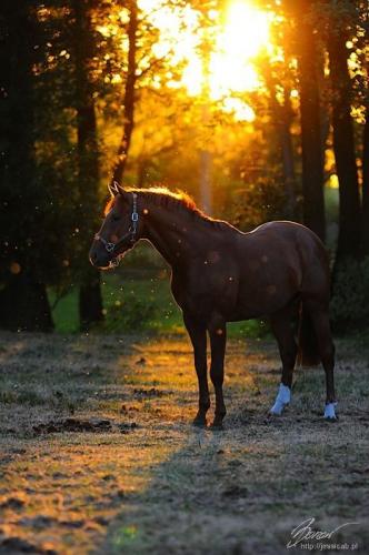 20:27:06 GMT-0500 (CDT)