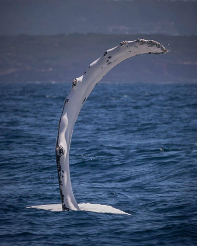 tumblr_51eace6643e8c9a62dc76c8e76208d4d_a5a9342e_540