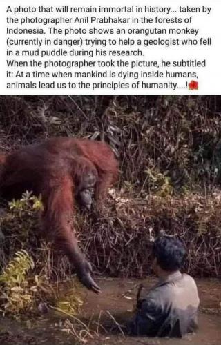 E892D4B6-1B3B-4E45-8F7B-FD3543204EF2