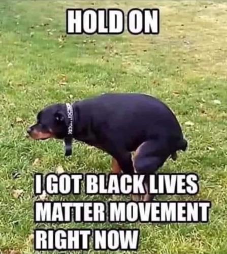 40425880-2DEC-492F-A32F-49CA69062B93