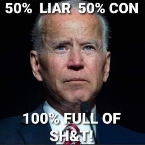 bidenpercentage