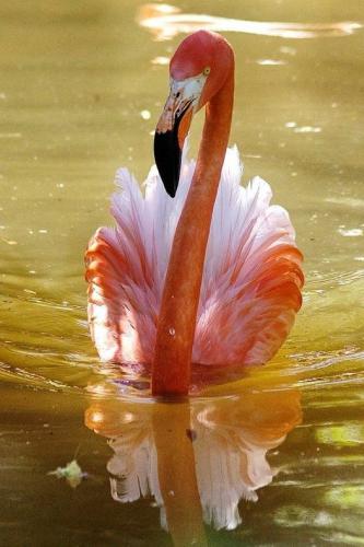 169856080_1838487519650785_4617142959239108242_n