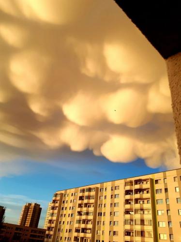 0A1B3921-680B-4427-8059-093860F2D8FD