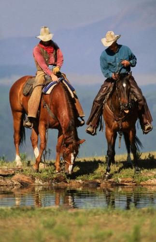 46457e3a57fc83b8180f67fb1d472fe3