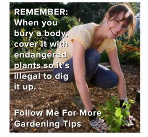 21:39:52 GMT-0700 (PDT)