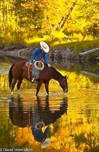 8768144525629b4881ad151a1a41bed2