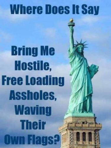 illegal immigration246