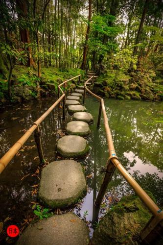 175610500_5364570376947971_5258175144233598723_n