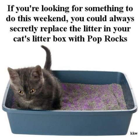 17:17:54 GMT-0700 (PDT)