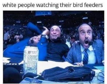 white people watching their bird feeders