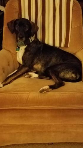 14:07:42 GMT-0400 (EDT)