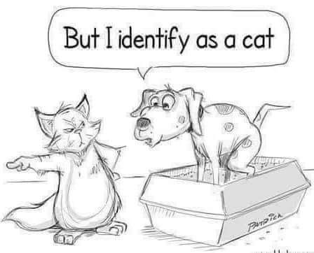 19:42:21 GMT-0700 (PDT)