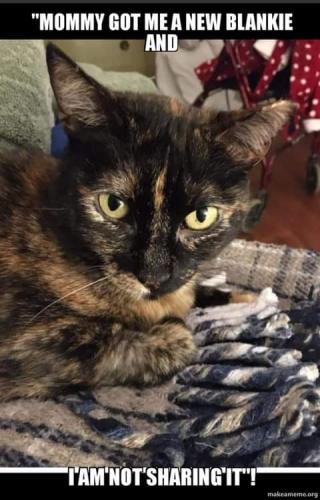 20:36:07 GMT-0700 (PDT)