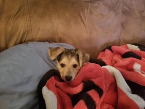 16:07:05 GMT-0400 (EDT)