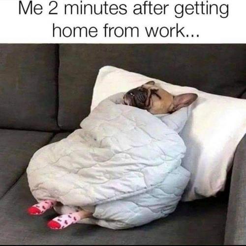 19:08:30 GMT-0400 (EDT)