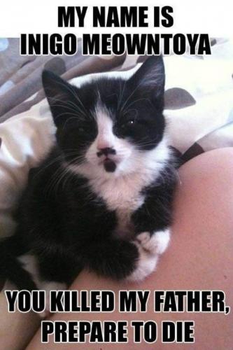 08:42:42 GMT-0400 (EDT)