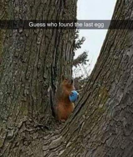 13:50:33 GMT-0700 (PDT)