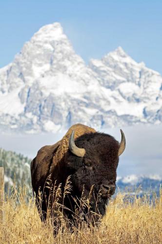 178538351_1562633943935950_8098141790379406600_n