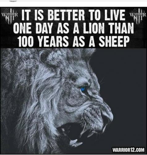 19:57:11 GMT-0400 (EDT)