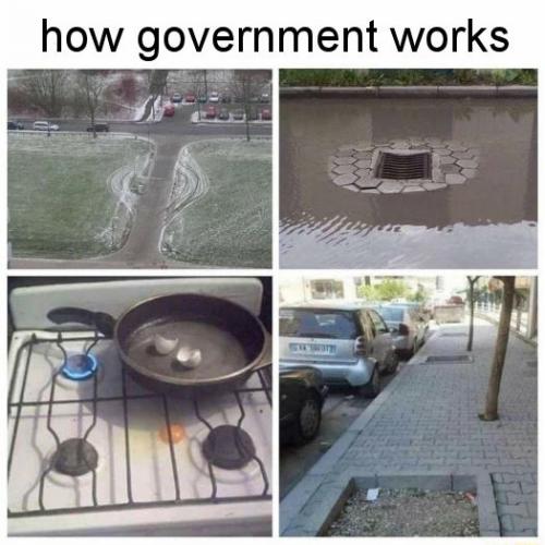 zgovernment81