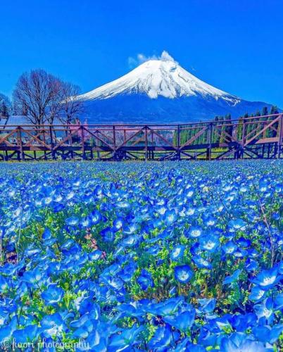 175182669_304909941005015_7123716724162566224_n