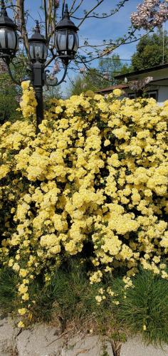 13:15:18 GMT-0700 (PDT)