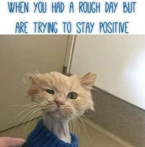 18:09:24 GMT-0400 (EDT)