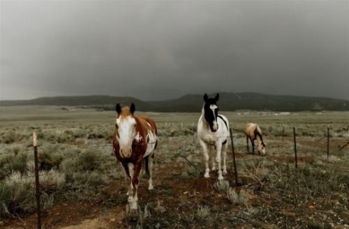 tumblr_2cfaba6b5734106a9586099c1399d26d_85fbbc50_540