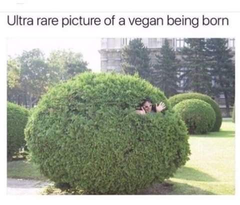 17:11:41 GMT-0700 (PDT)