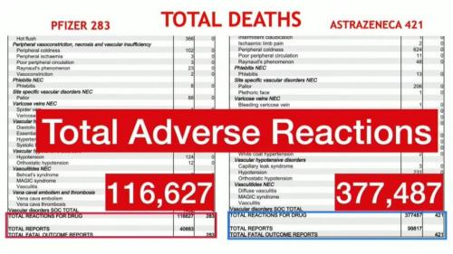 photo_2021-04-10_05-50-31