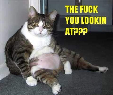 19:47:09 GMT-0700 (PDT)