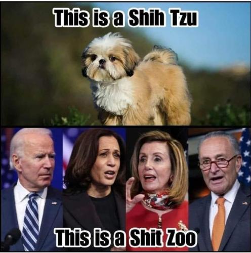 170272824_279753513750537_1909464172208374980_n