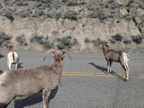 IMG_20210403_152713326