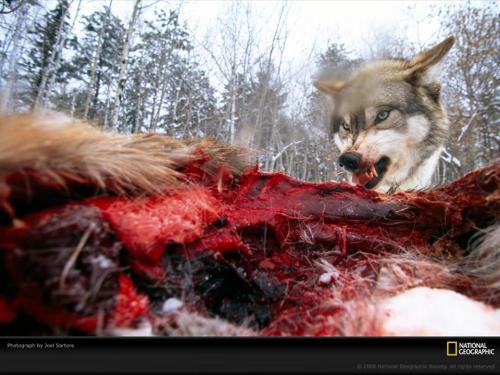 13083346_10204530748428884_6183812922597997899_n