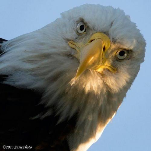 117444652_1319398618256508_6424735189417411411_n